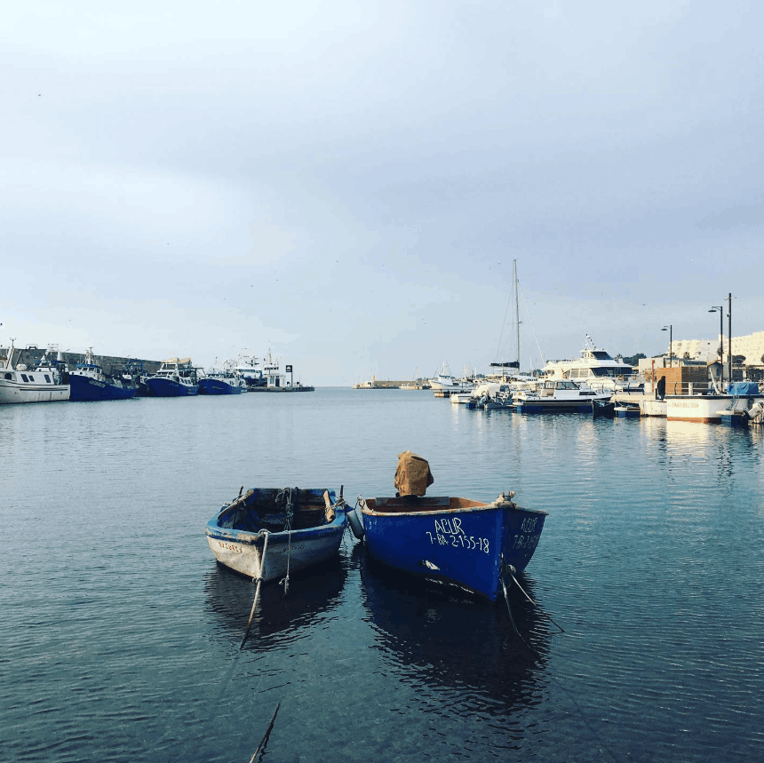 Foto d'Adan Princep del Delta de l'Ebre