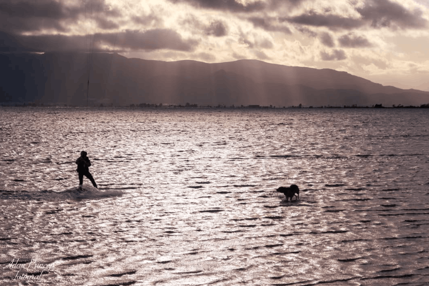 Foto d'Adan Princep del Delta de l'Ebre